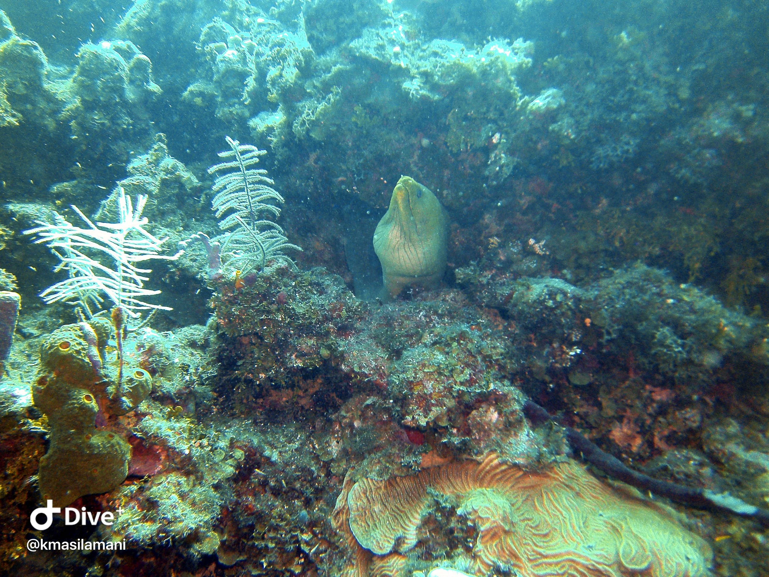 IMG_3448.JPG