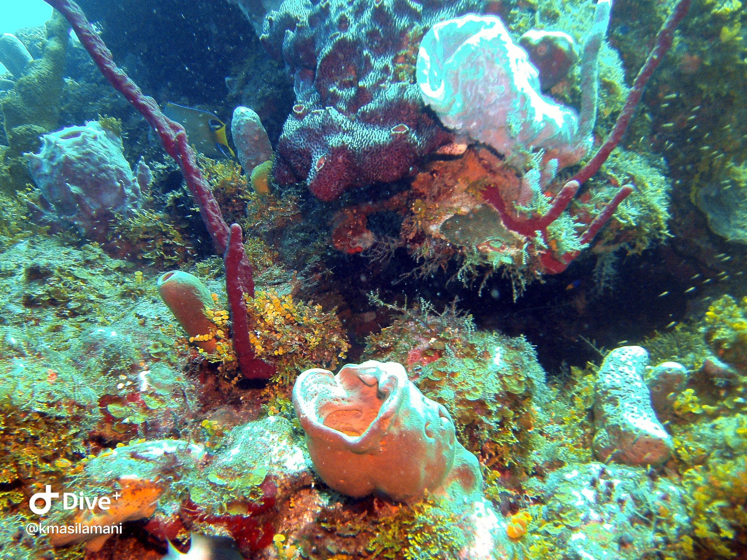 IMG_3453.JPG