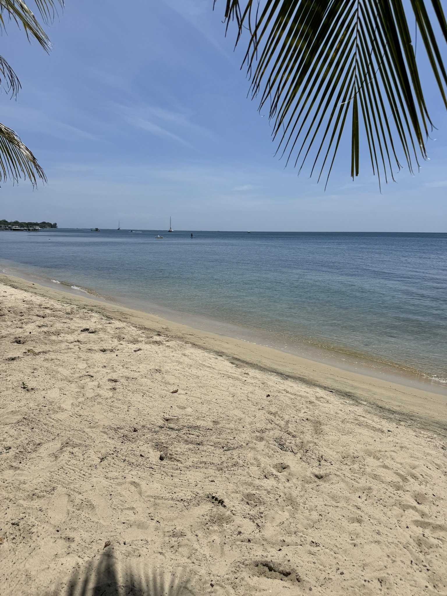 IMG_3275.JPEG