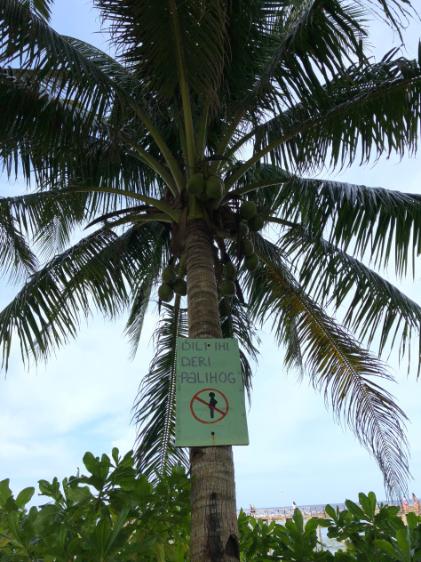 A sign asking you to behave and not pee - ha!