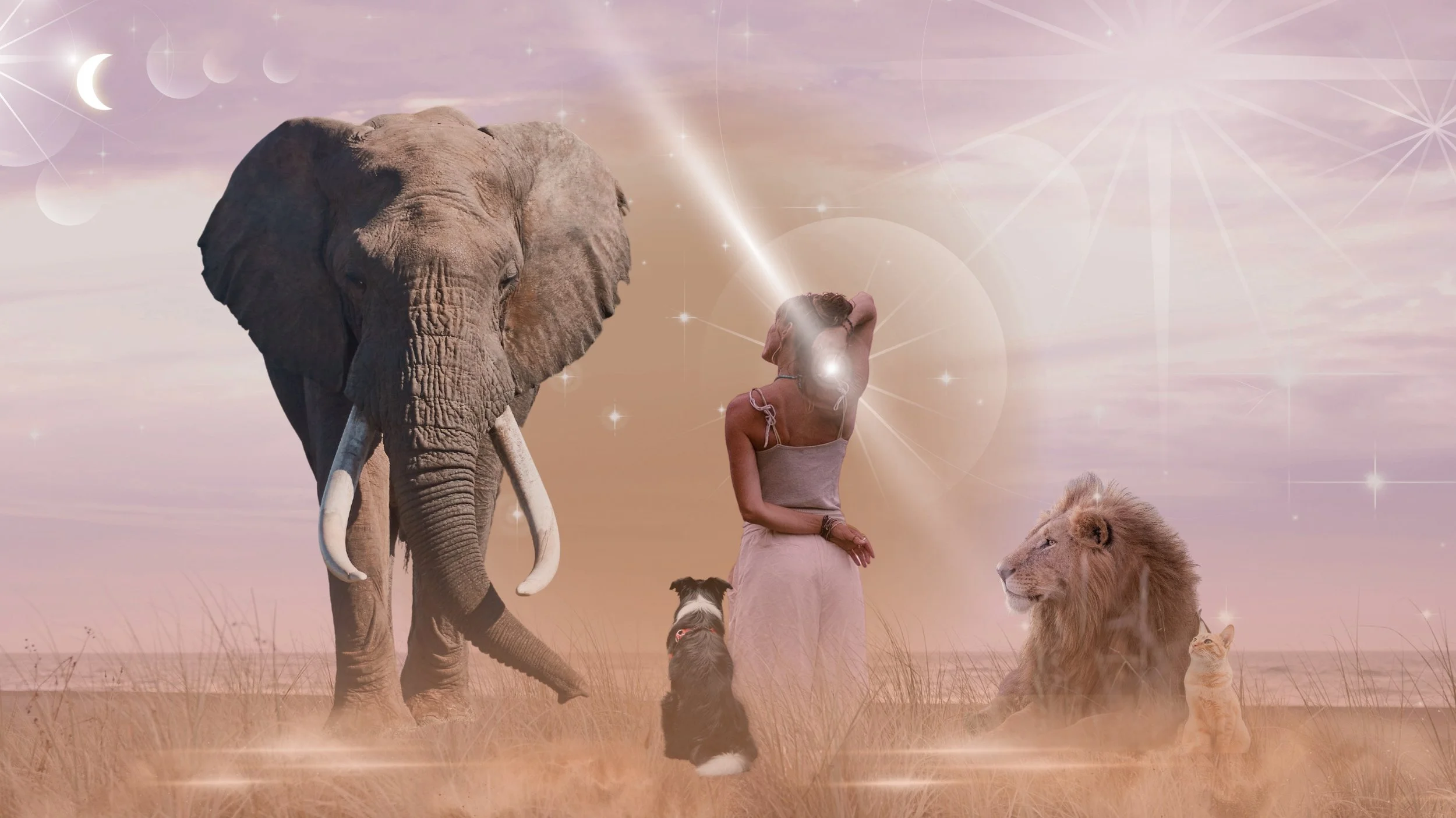 Animal Whispering