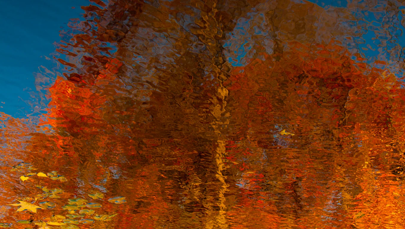 Blue Fall
