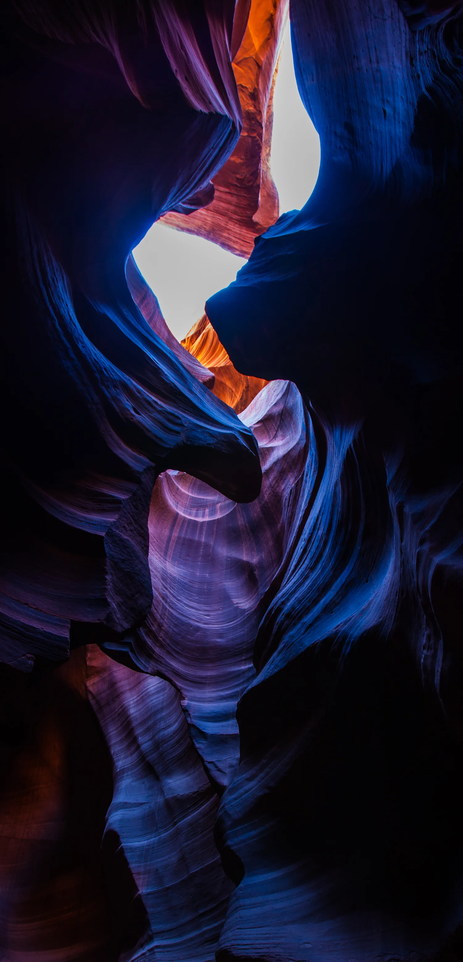 Crevice