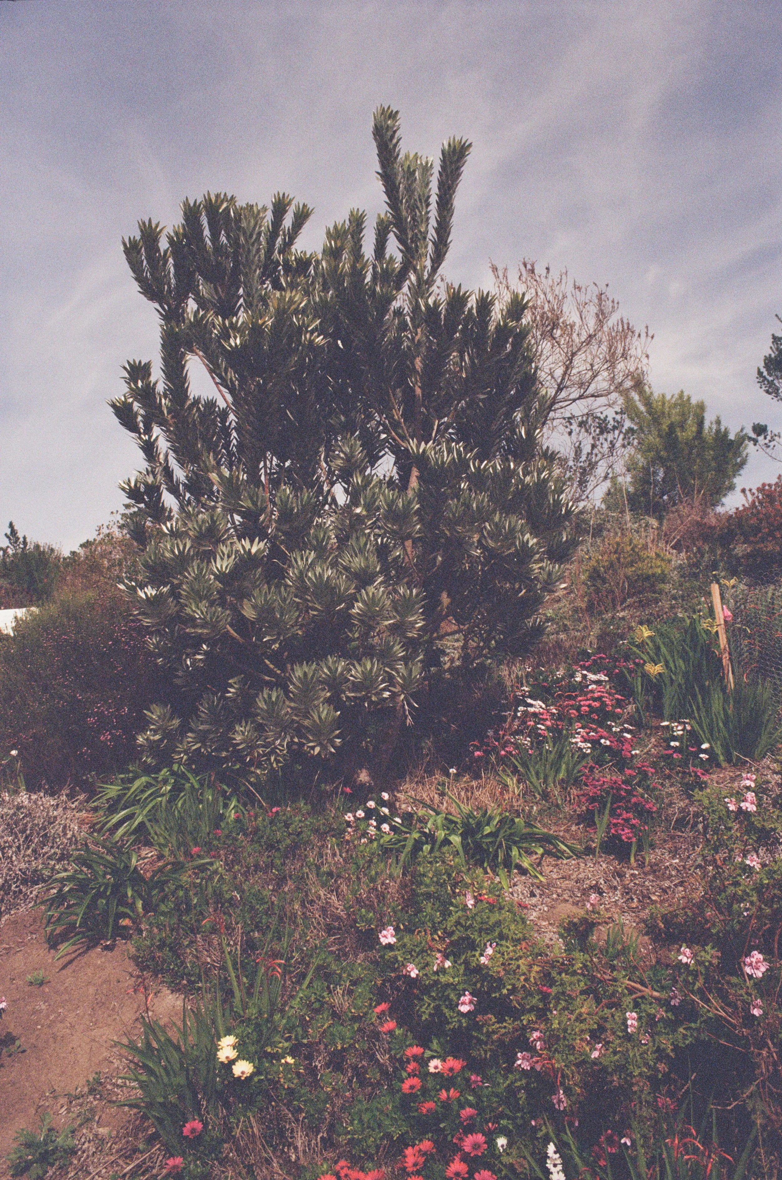 000043320017.JPG