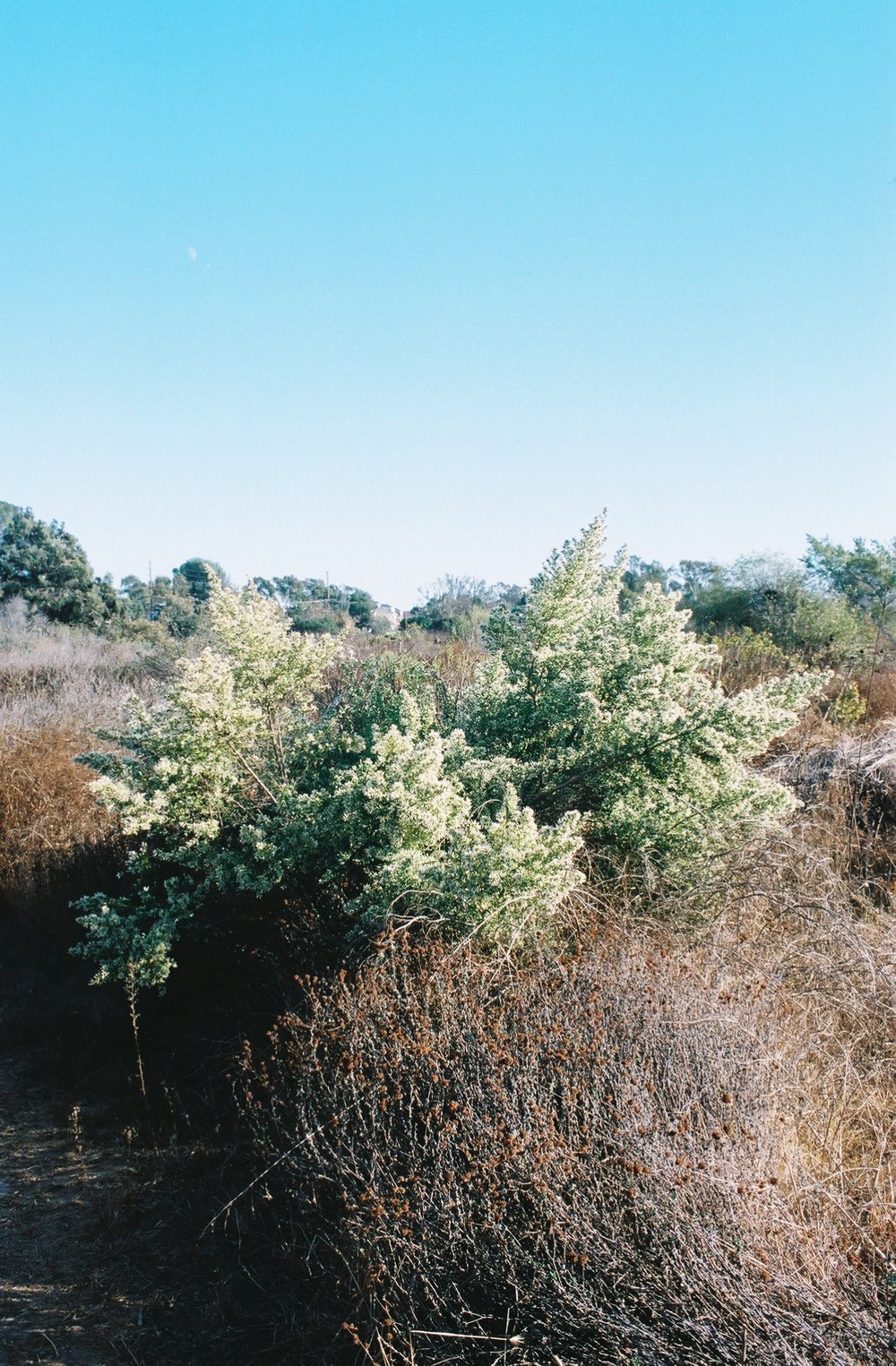2832000_2832000-R1-040-18A+2.jpeg