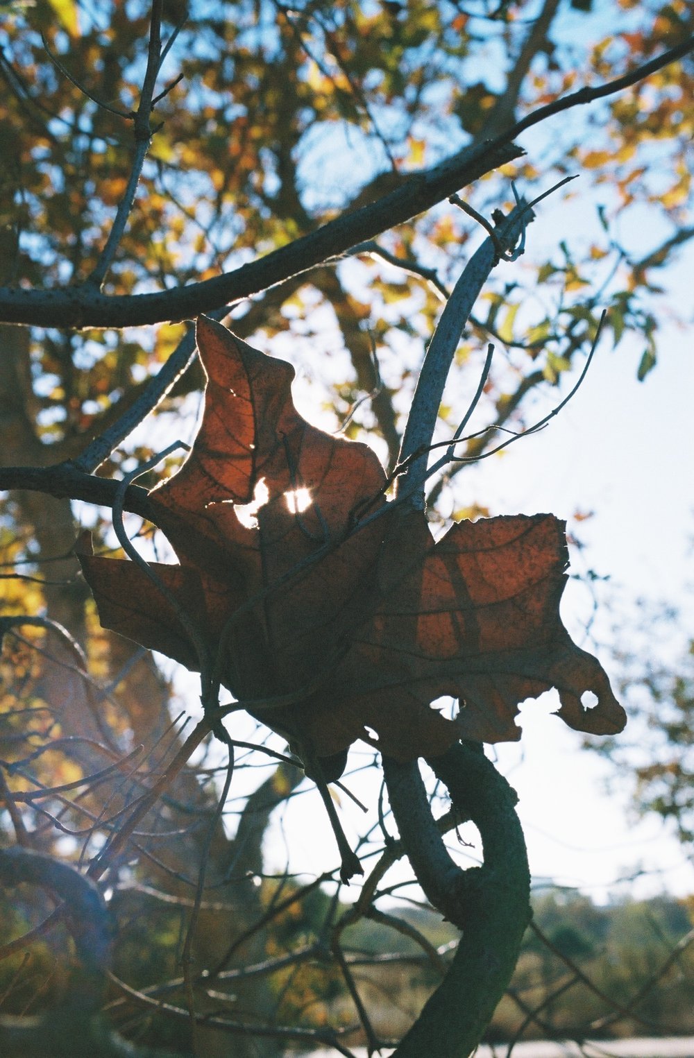 2832000_2832000-R1-026-11A+2.jpeg