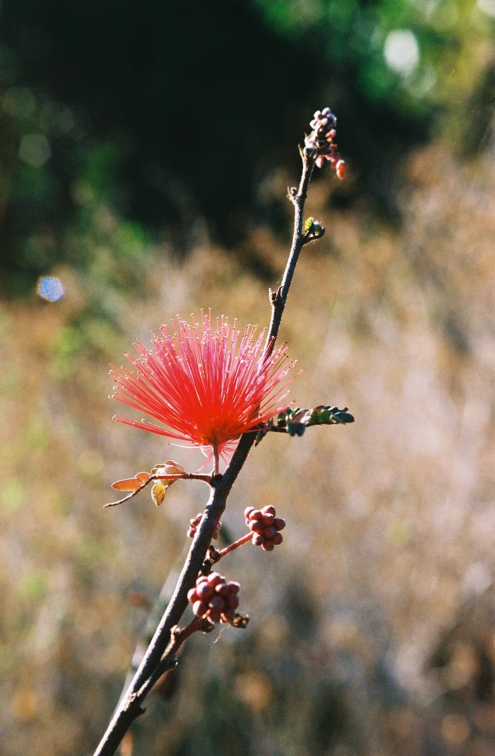 2832000_2832000-R1-028-12A+2.jpeg