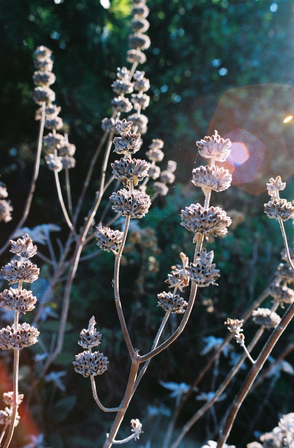 2832000_2832000-R1-018-7A+2.jpeg