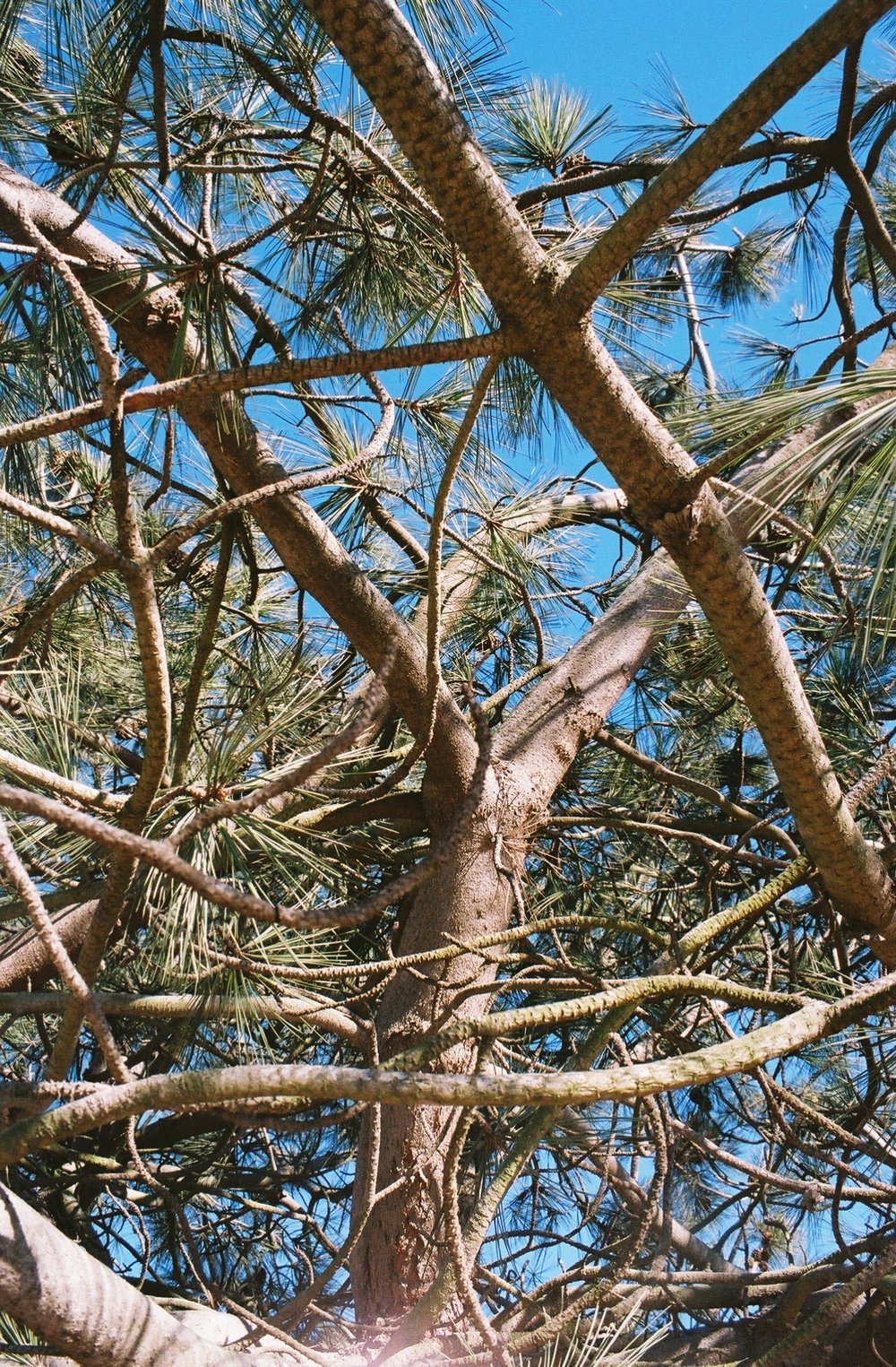 3256000_3256000-R1-040-18A.jpeg