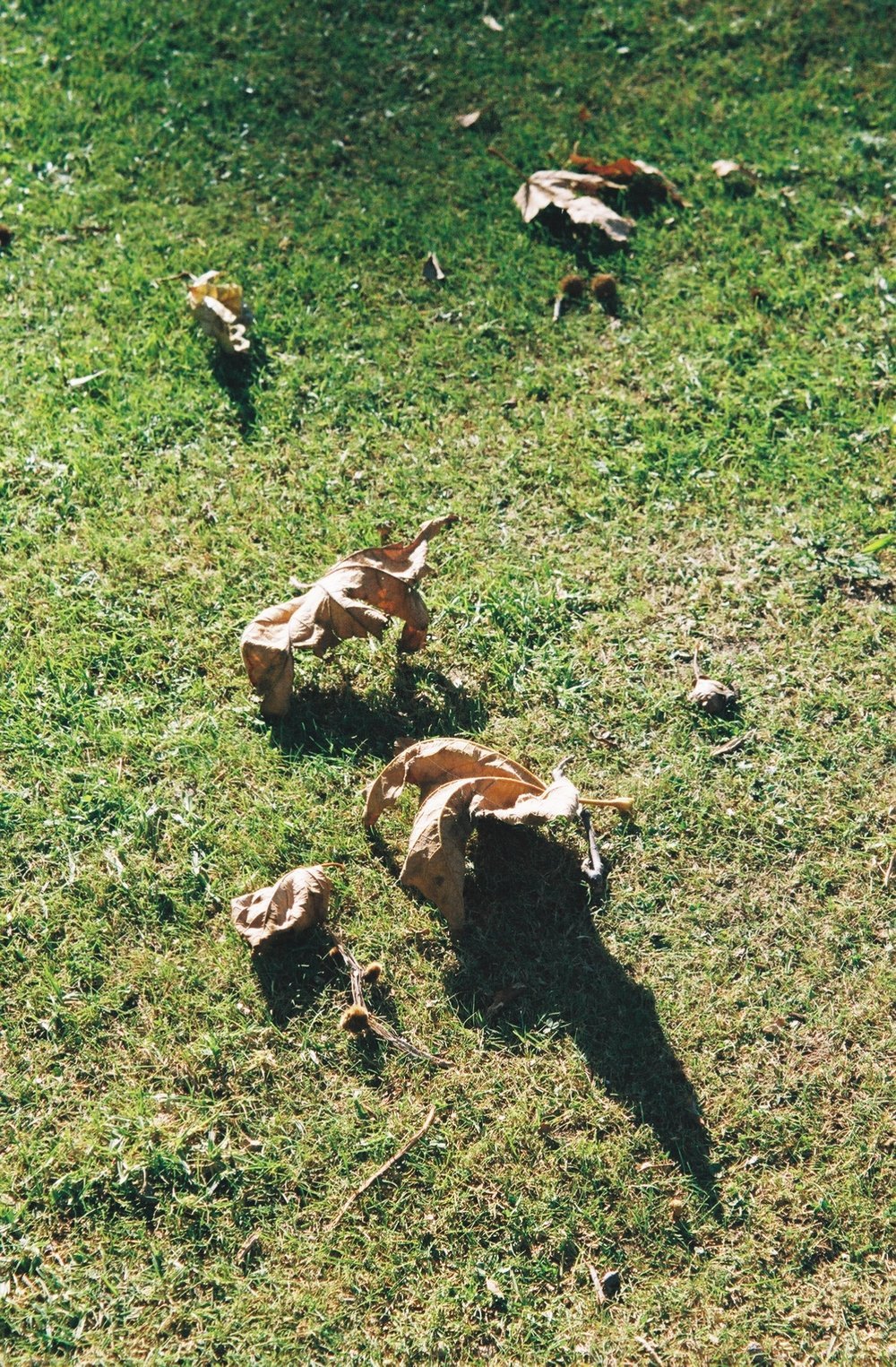 2832000_2832000-R1-024-10A+2.jpeg