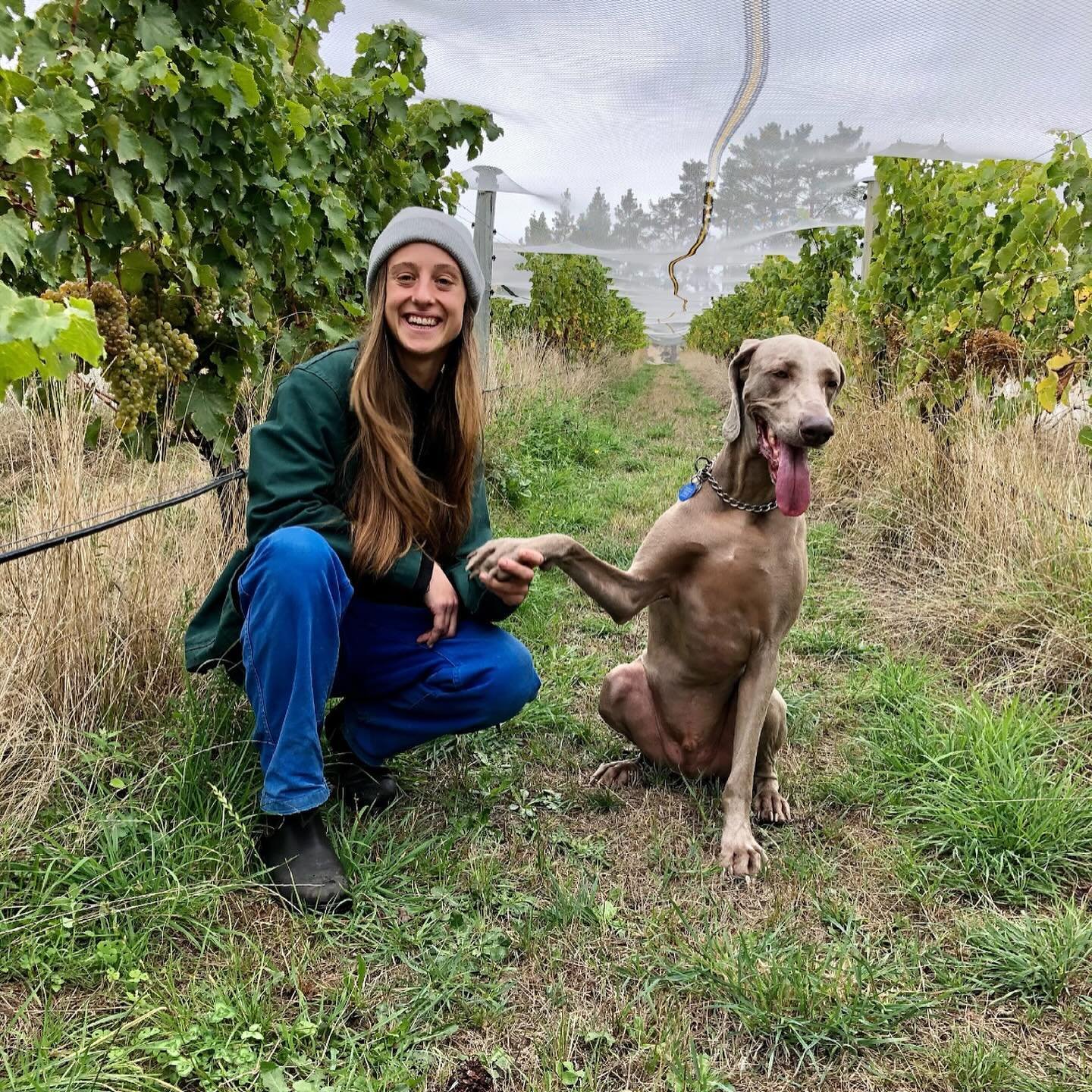 The talented @ashleighbarrowmanwine will be making an appearance with us this Superwild! 

Ash has learned her skills from some of the best, overseas and at home and is now making her own wines in Marlborough from certified organic vineyards. With a 