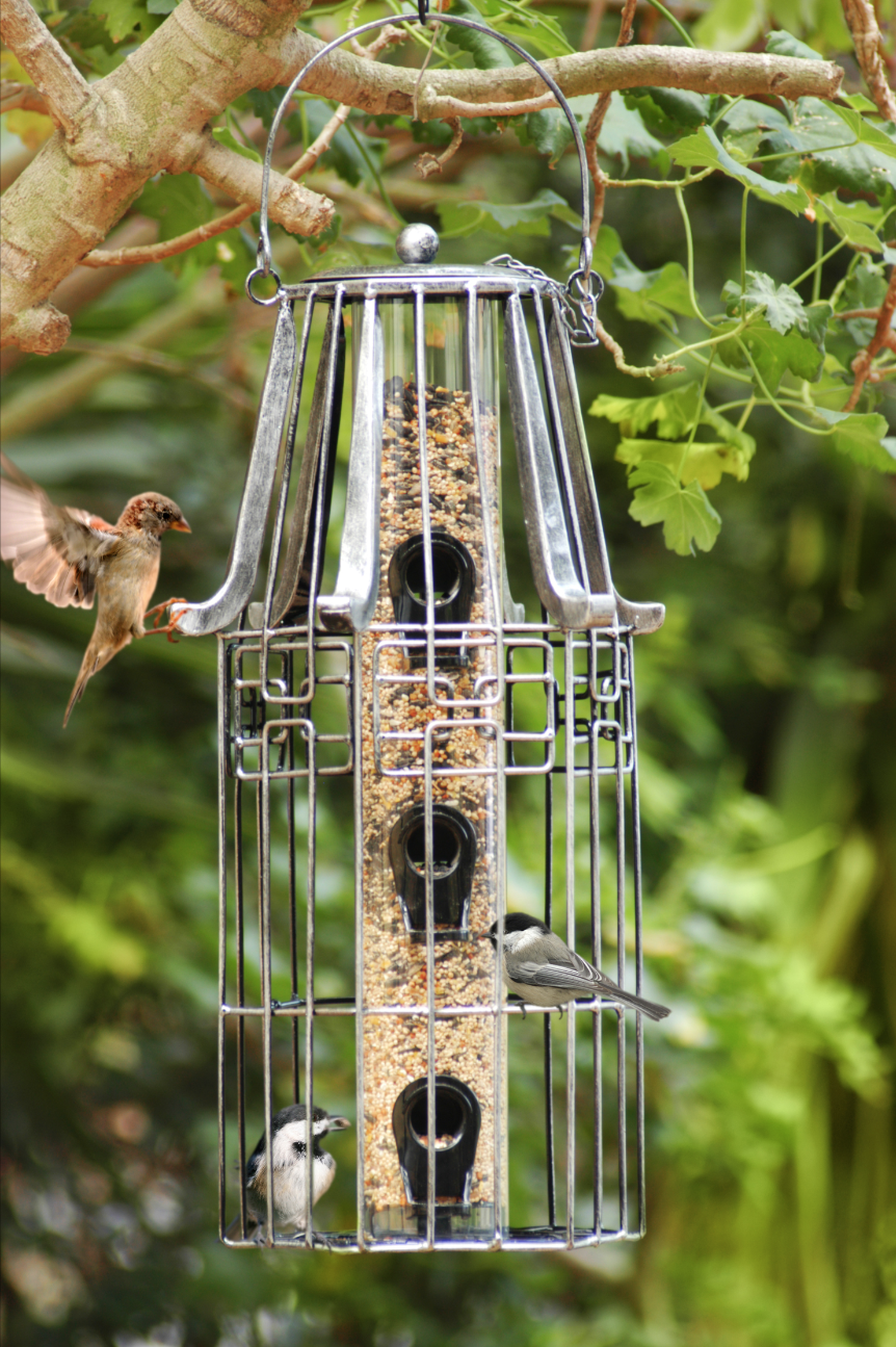 Screen Shot 2018-12-04 at 7.52.23 PM.png