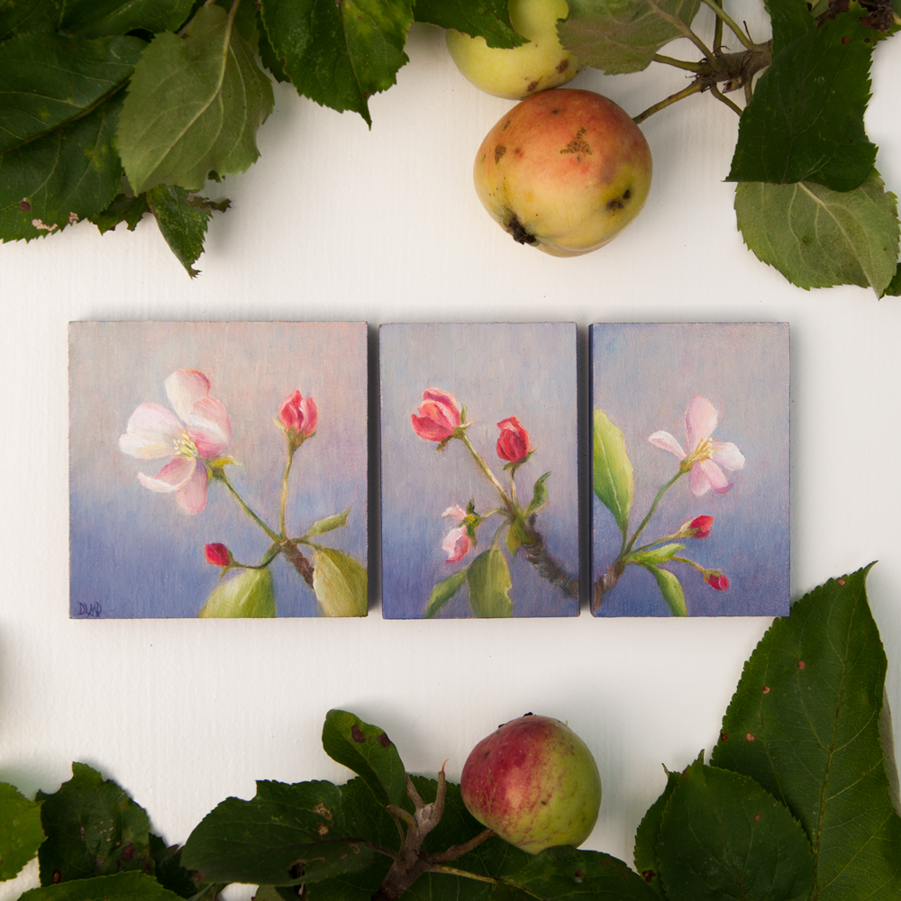 IG--Apple-Blossom-Triptych-lightened.jpg