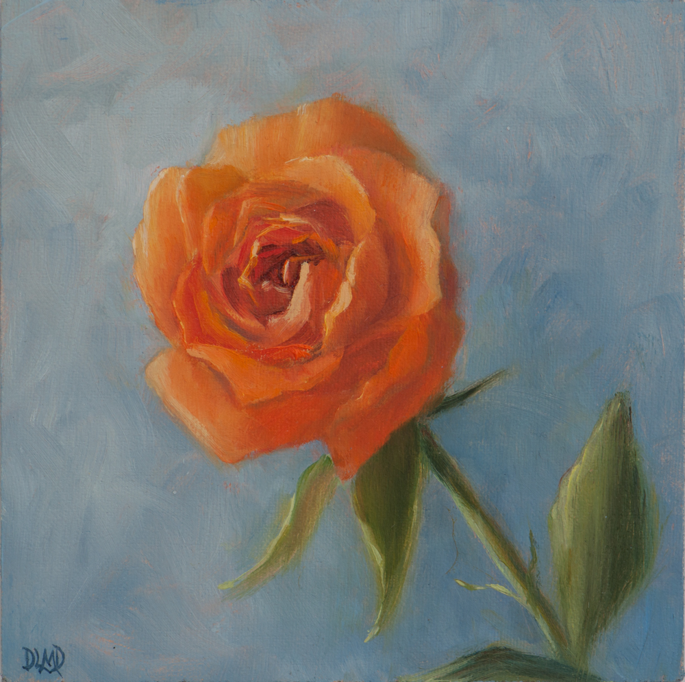 Orange Cheer_DSC2386.jpg