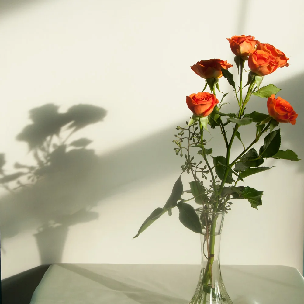 IG--orange-roses-in-new-studio-Jan-2017.jpg