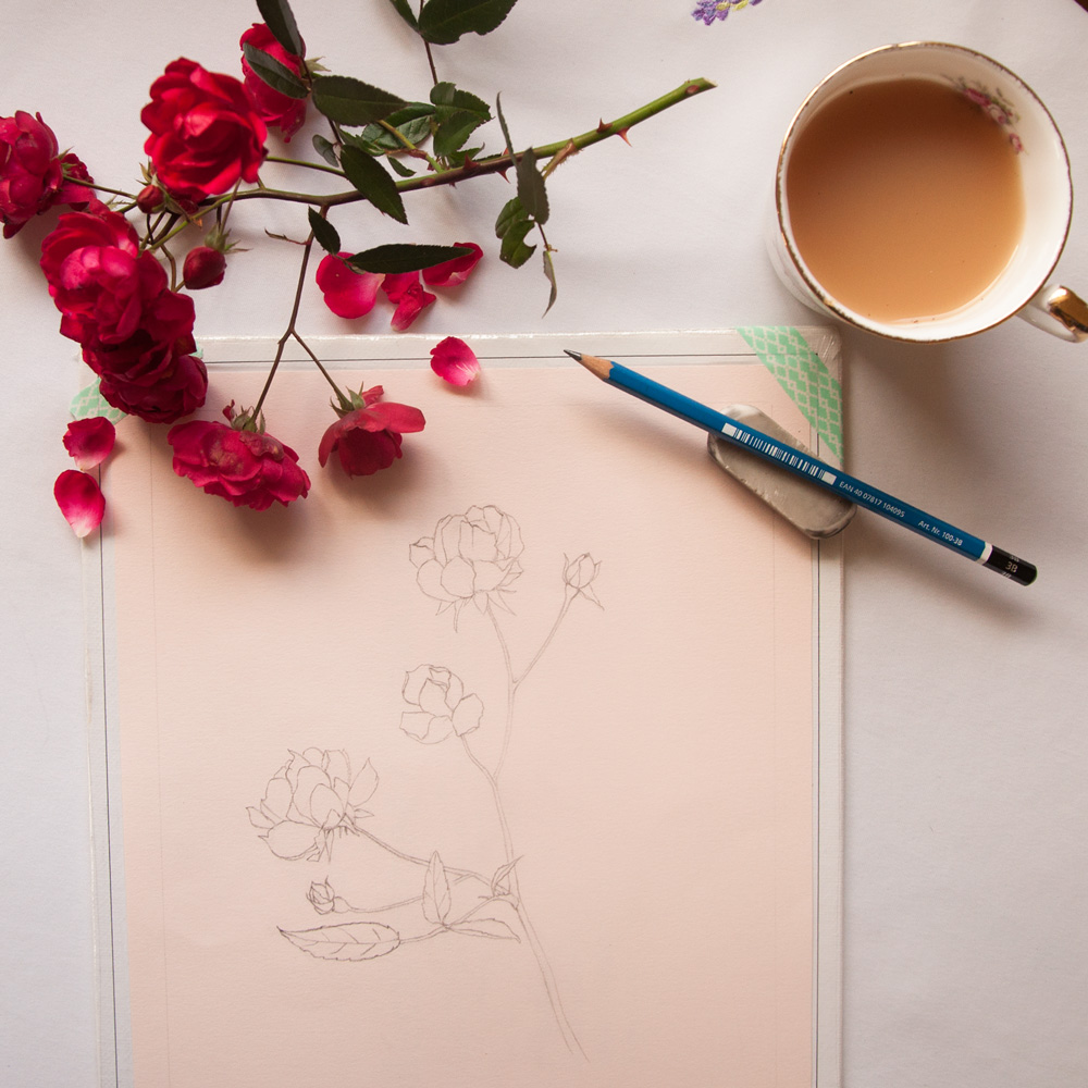 IG--Fairy-Roses-WIP-Nov-24,-16.jpg