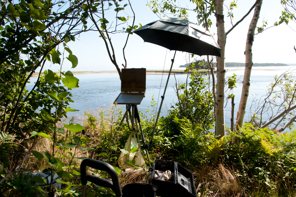 Powell's-Pt-Park-July-21,-2012--Set-Up.jpg