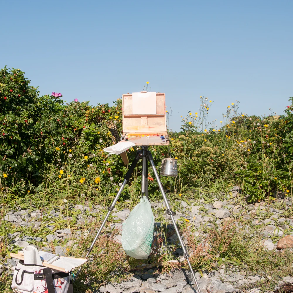 IG--Wild-Roses-plein-air-set-up-New-Harbour,-Sept.-13,-2017.jpg
