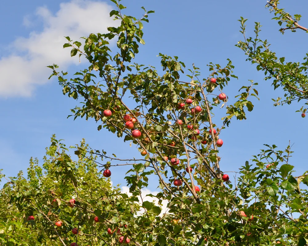Grant's-Lake-Subject-Sept-2012.jpg