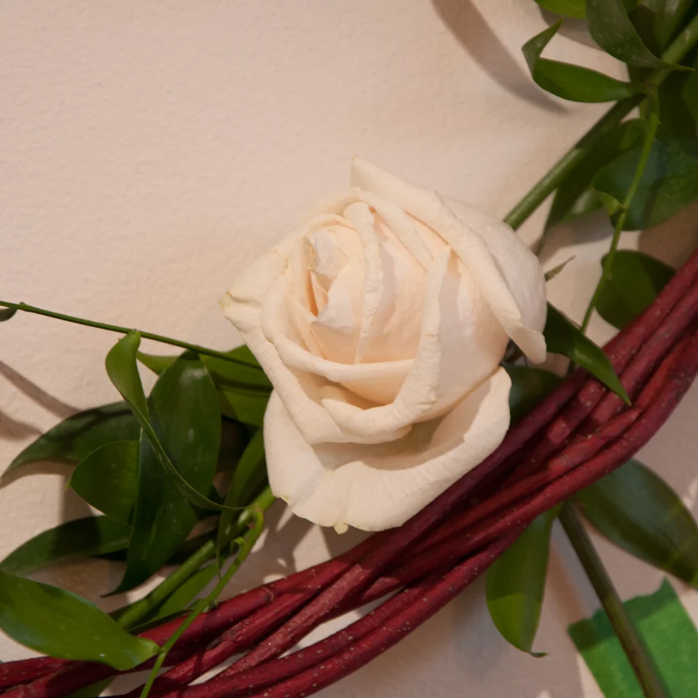 IG--White-Rose-on-wall-Jan.-2,-2018.jpg