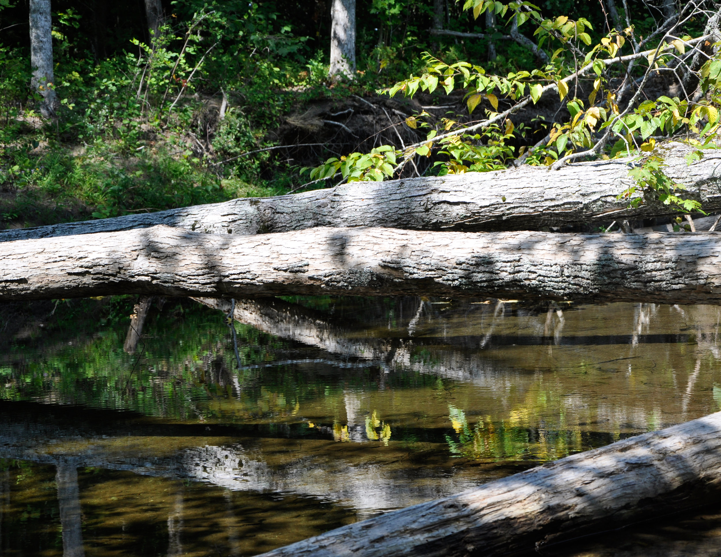 Hints-of-Fall-location.jpg