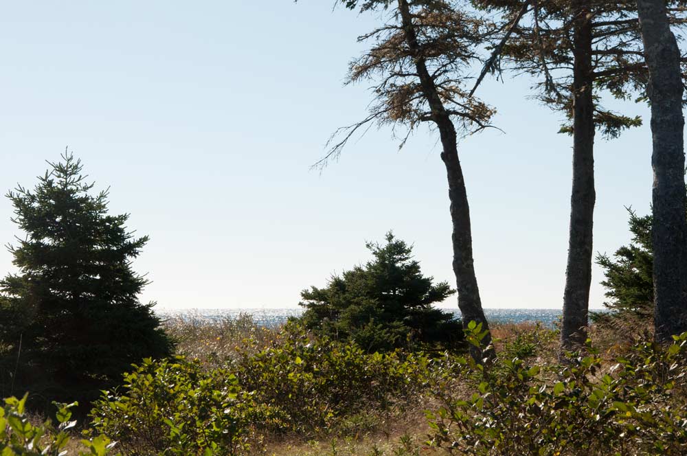 Tor-Bay--on-location-Oct-15.jpg