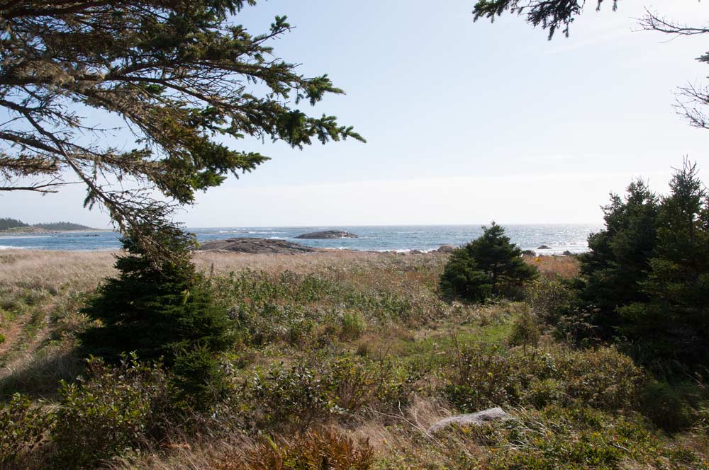 Tor-Bay--the-view-to-my-left-Sept.-30,-15.jpg