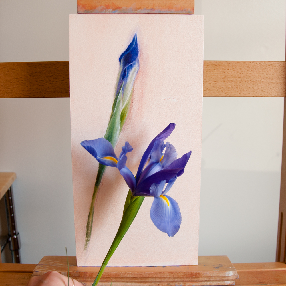 IG--Iris-testing-with-real-one-Feb-2019.jpg