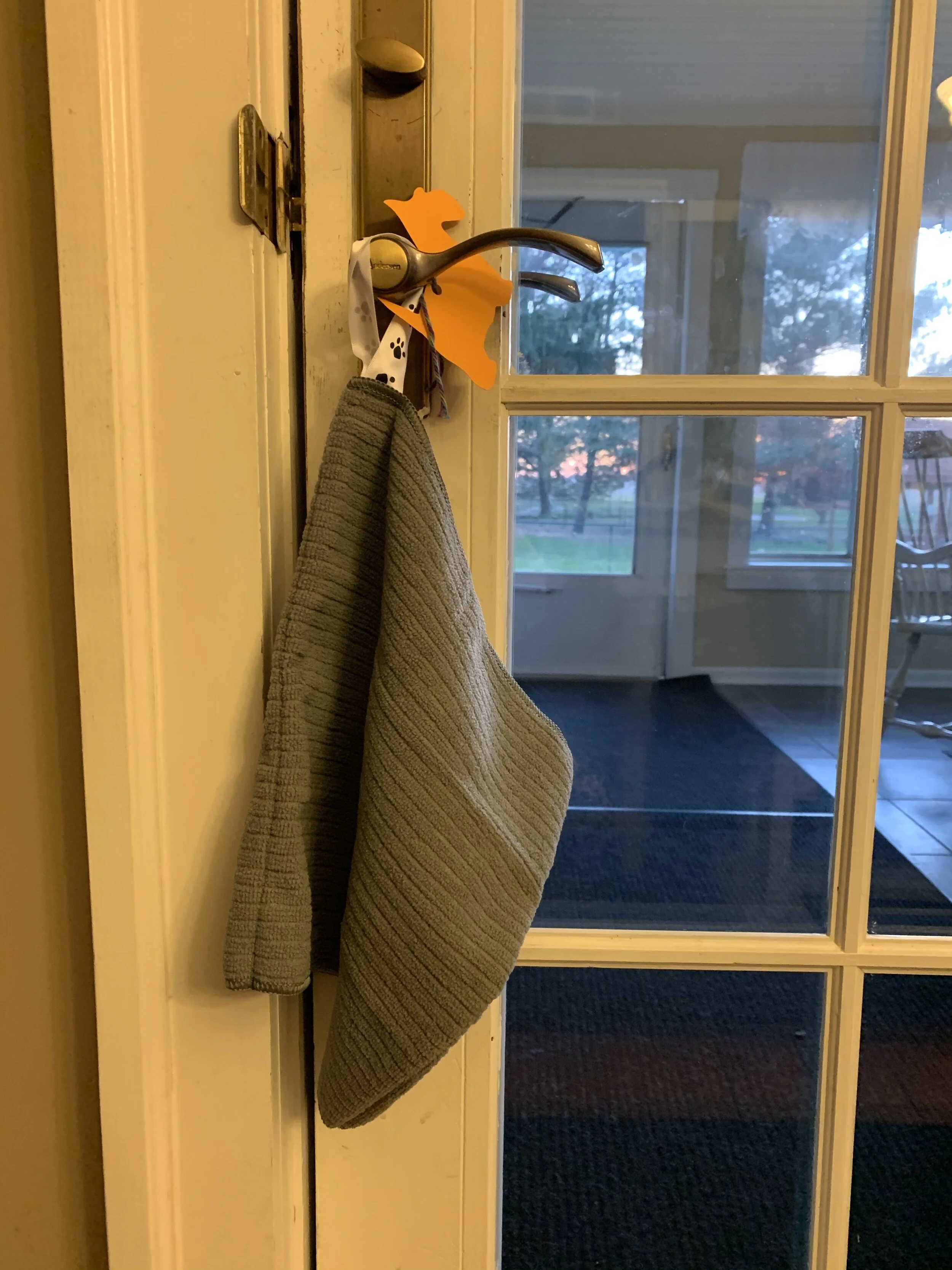 61C7512B-F42C-44FA-B962-C13F88861EB5