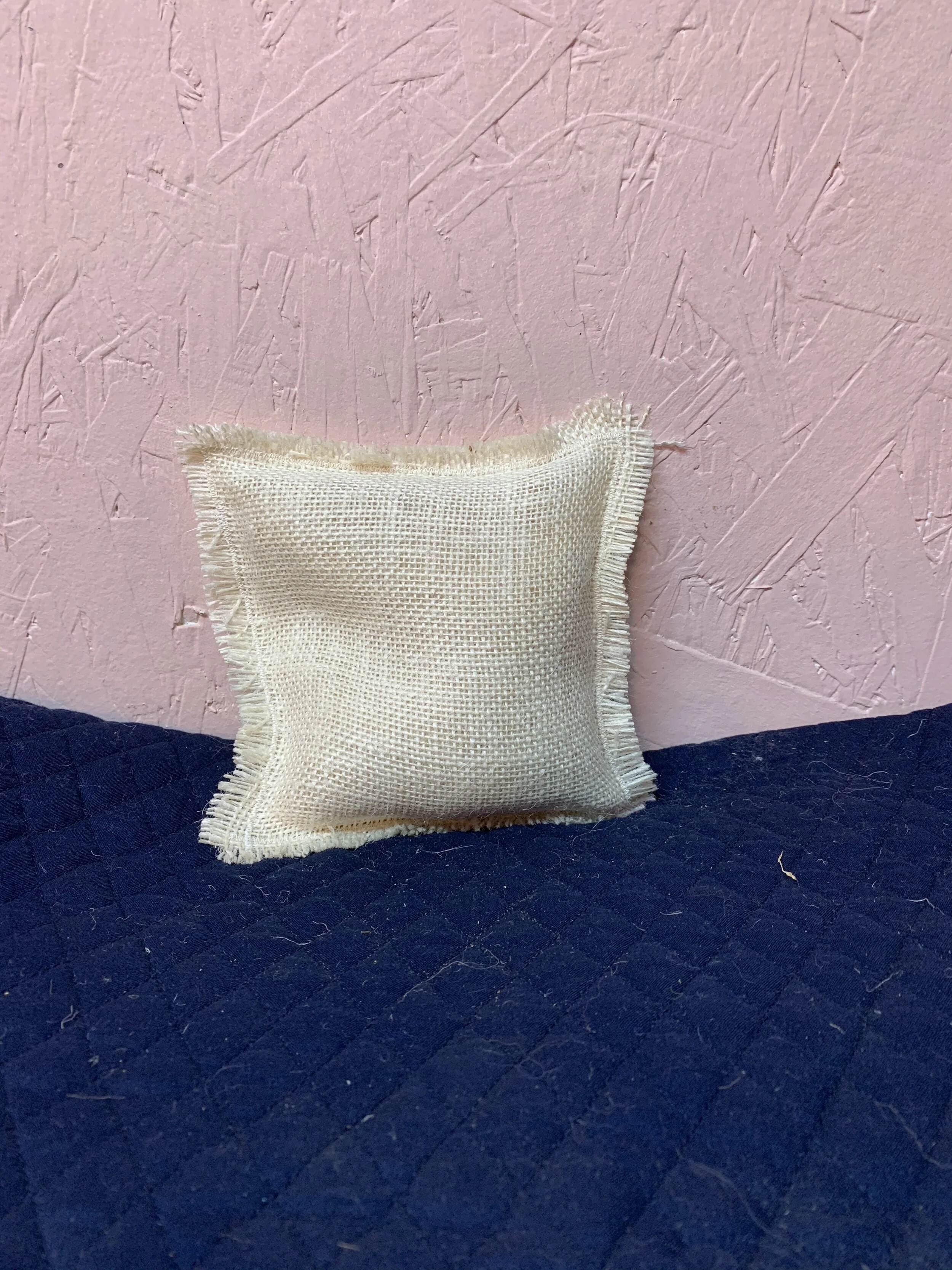 98FEFCA5-4A6B-4BF8-9BF5-D450BA3EB2EE