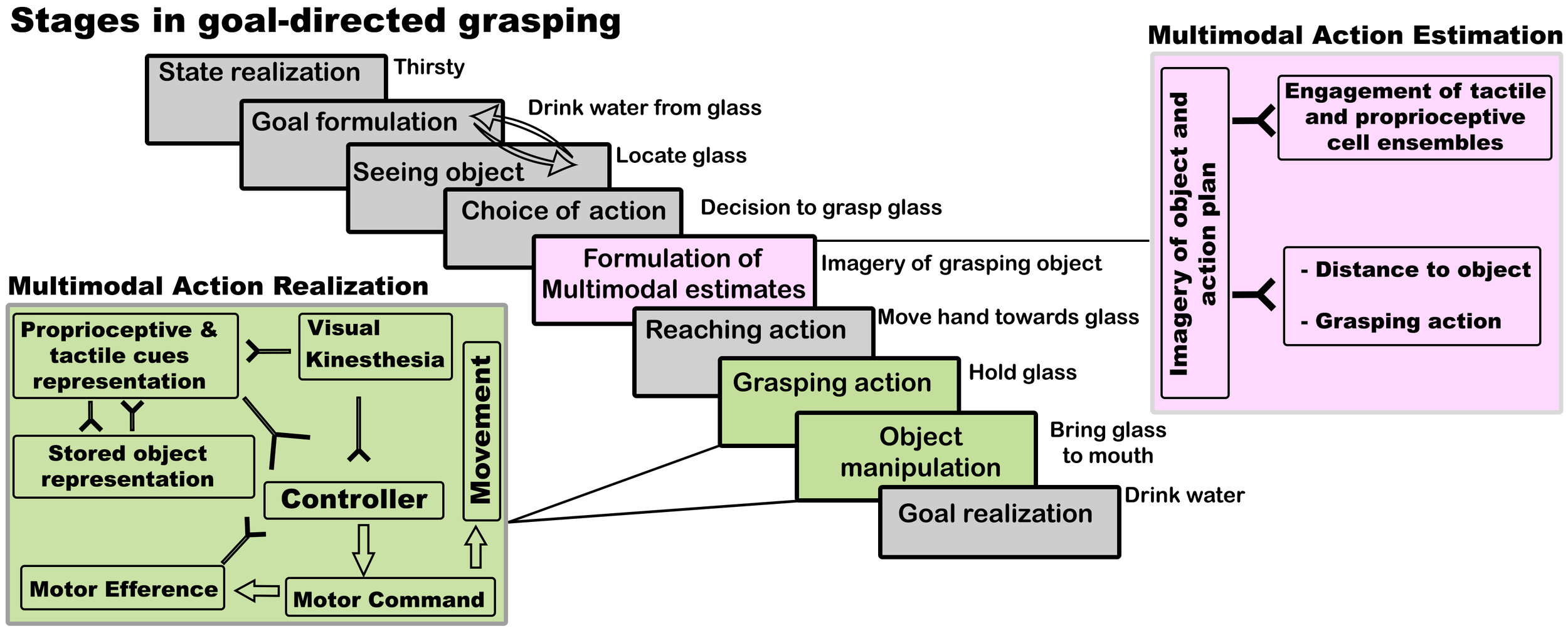 haptic_stages.jpeg