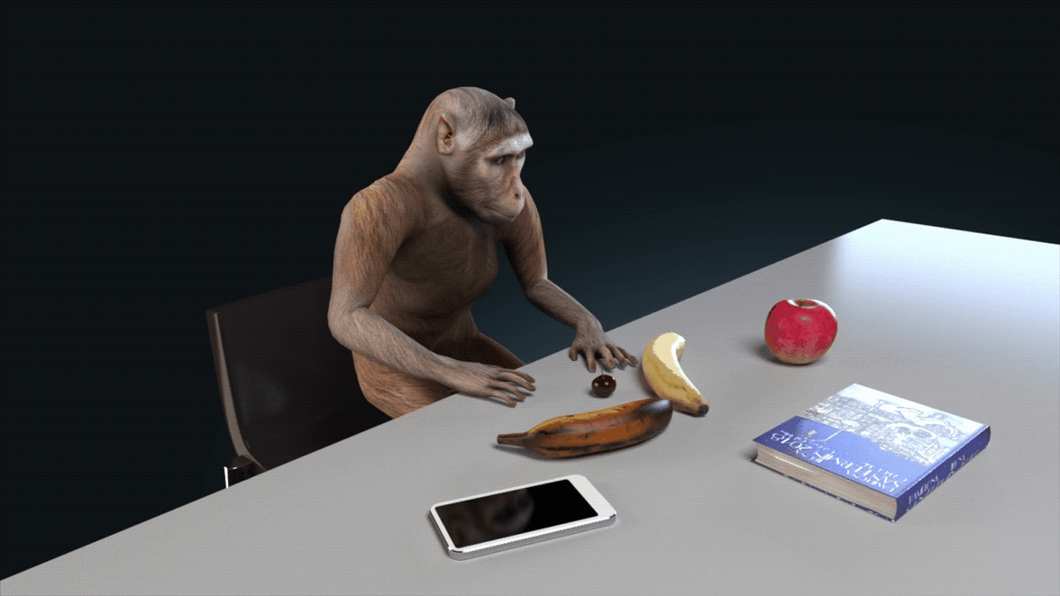 monkey_grabbing_objects.gif