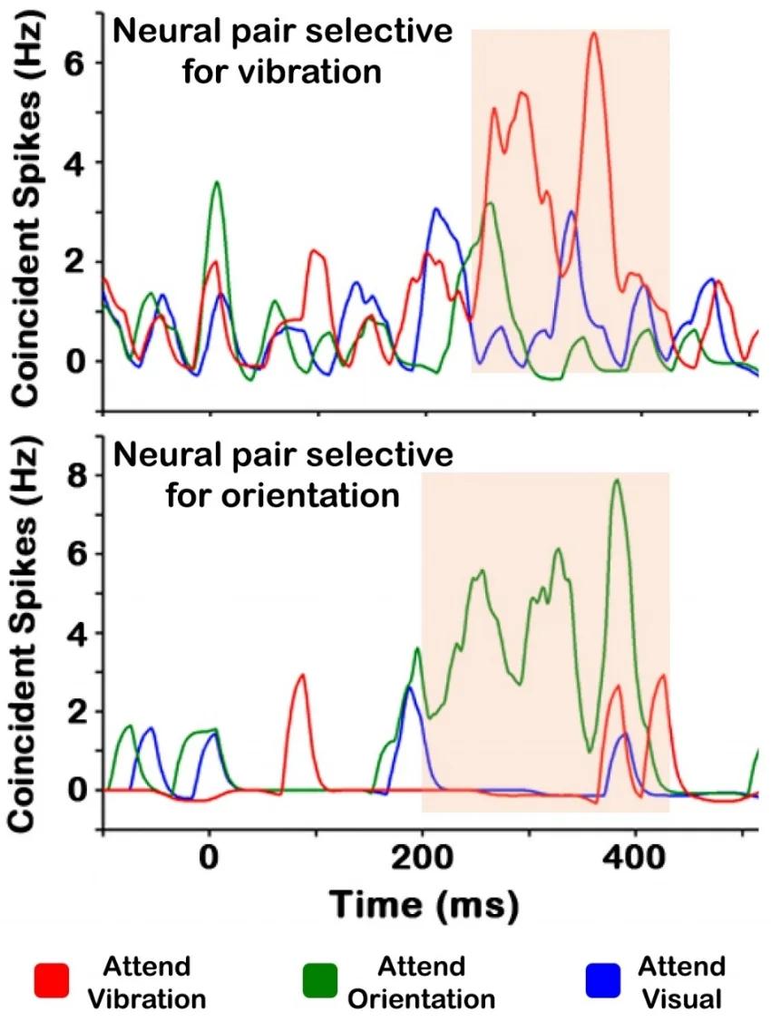synchrony_figure_revised.jpg