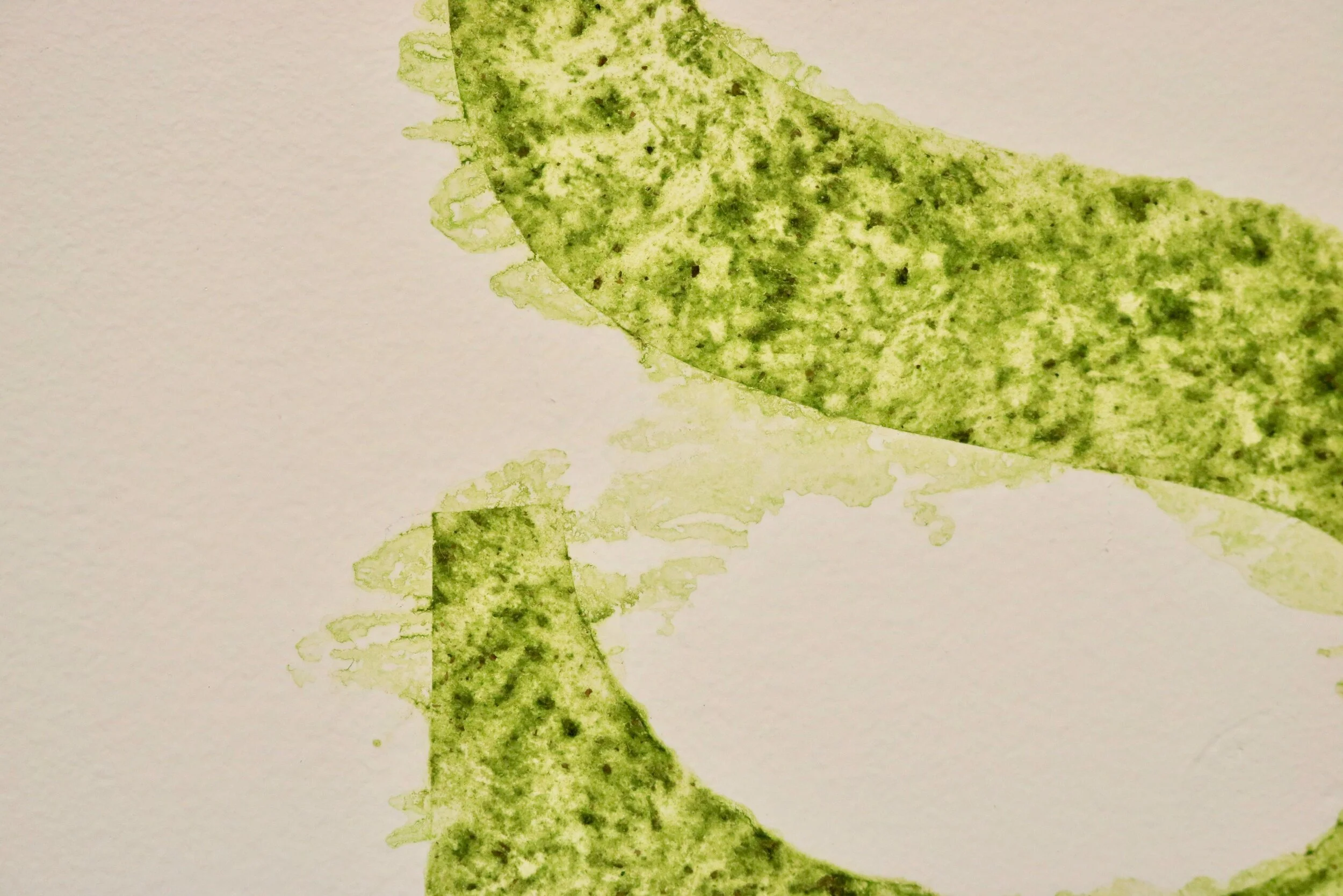 Health Food, detailSmoothie is blended, and stenciled in layers to the wall.