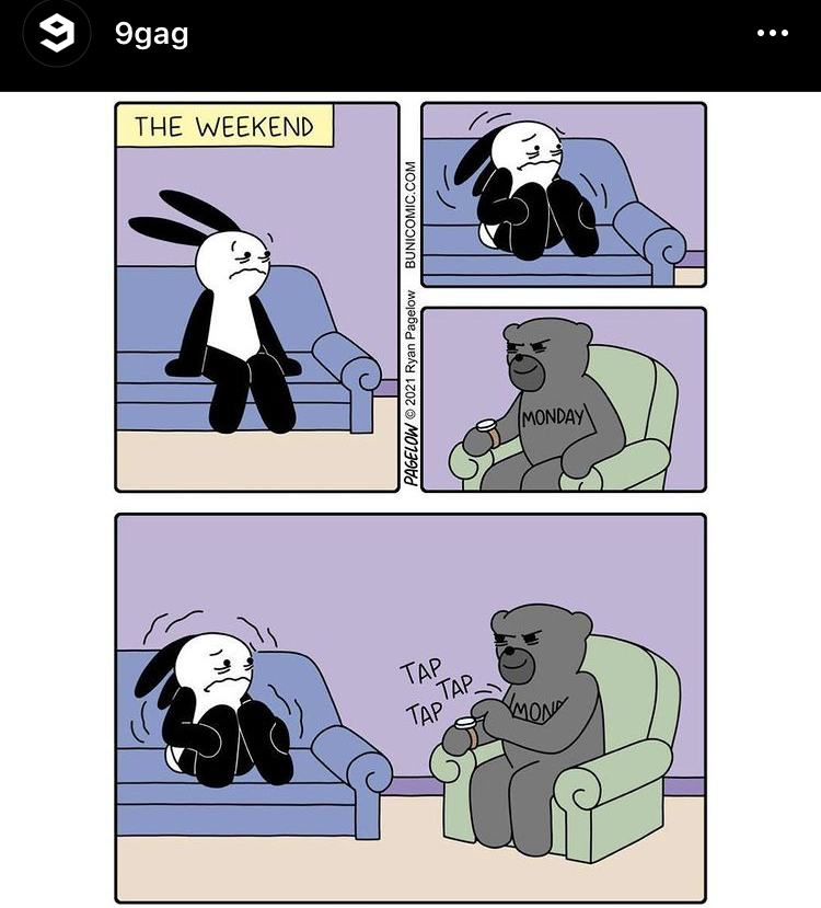 IMG_4530.PNG