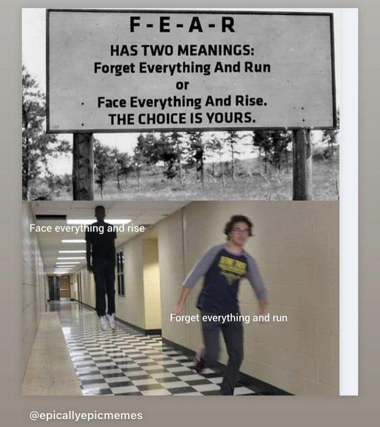 IMG_4886.PNG