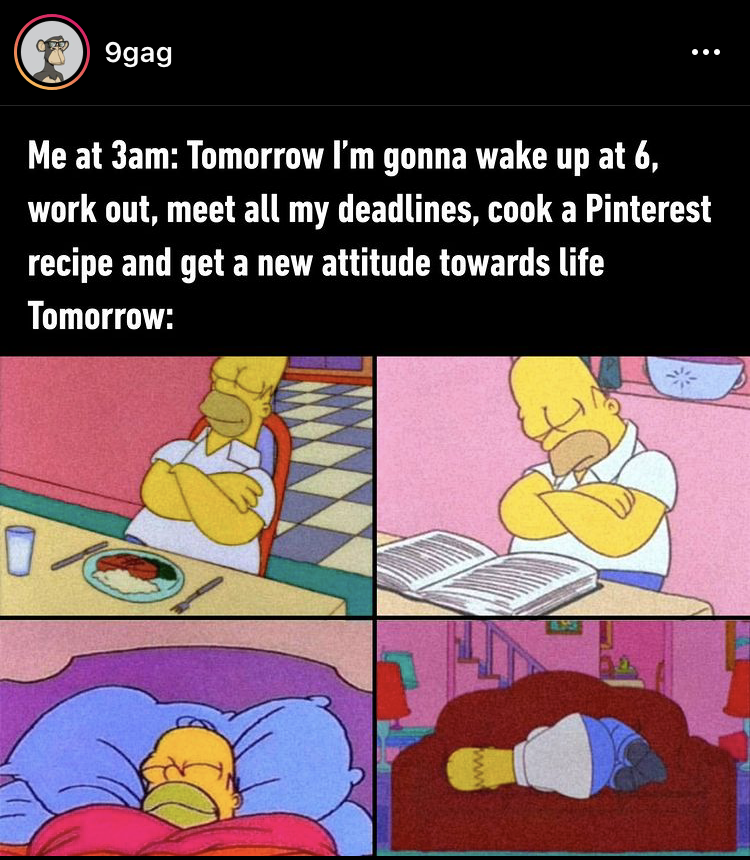 IMG_5175.PNG