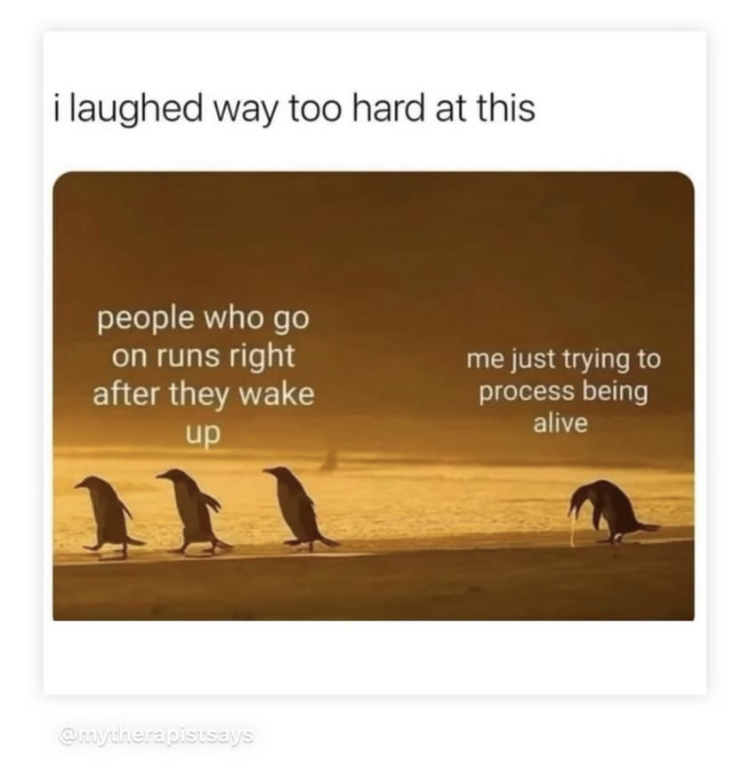 IMG_5220.PNG