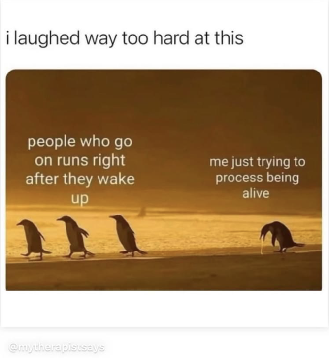 IMG_5220.PNG