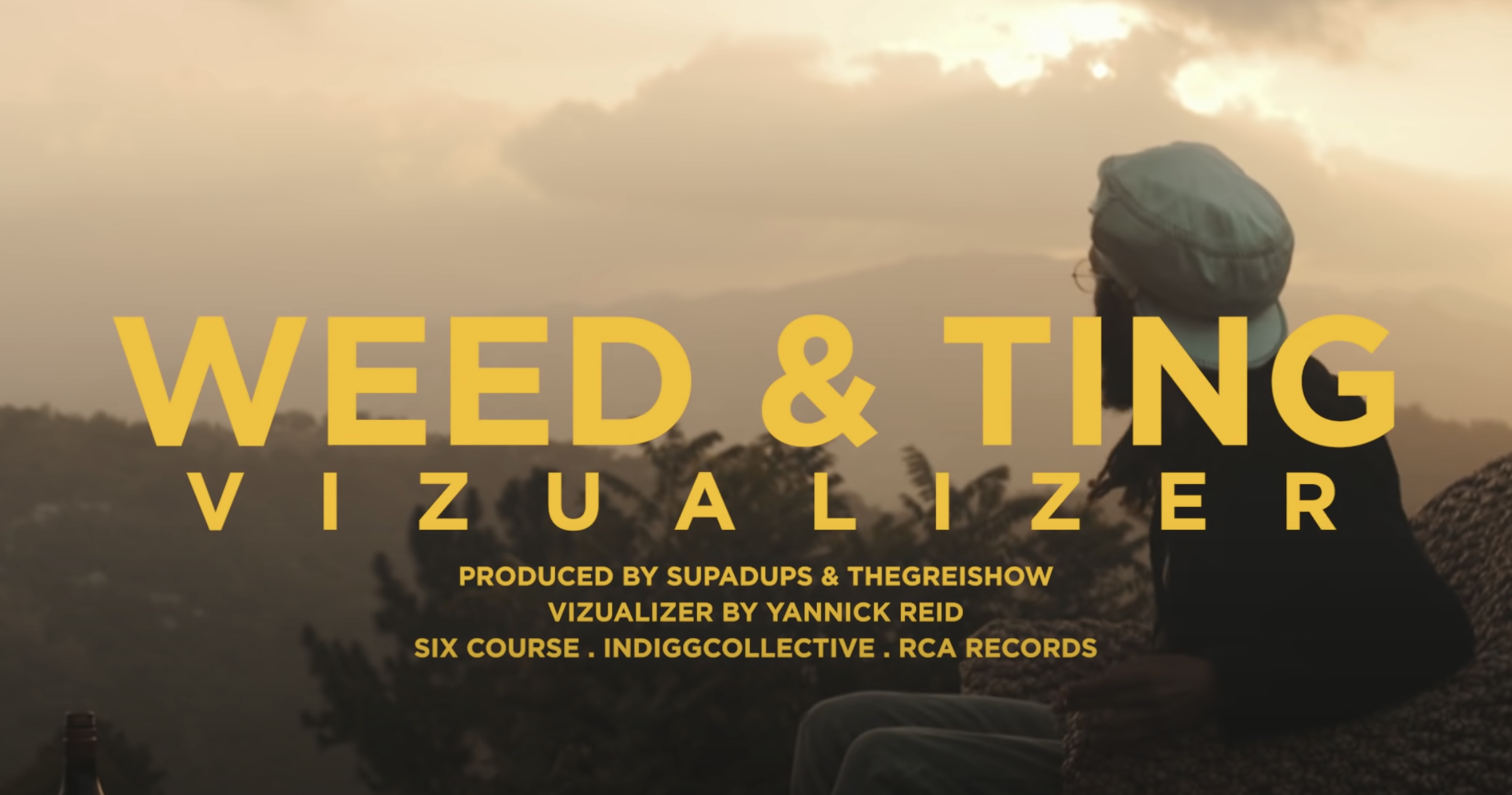 Protoje - Weed &amp; Ting (Visualizer) (Music Video)