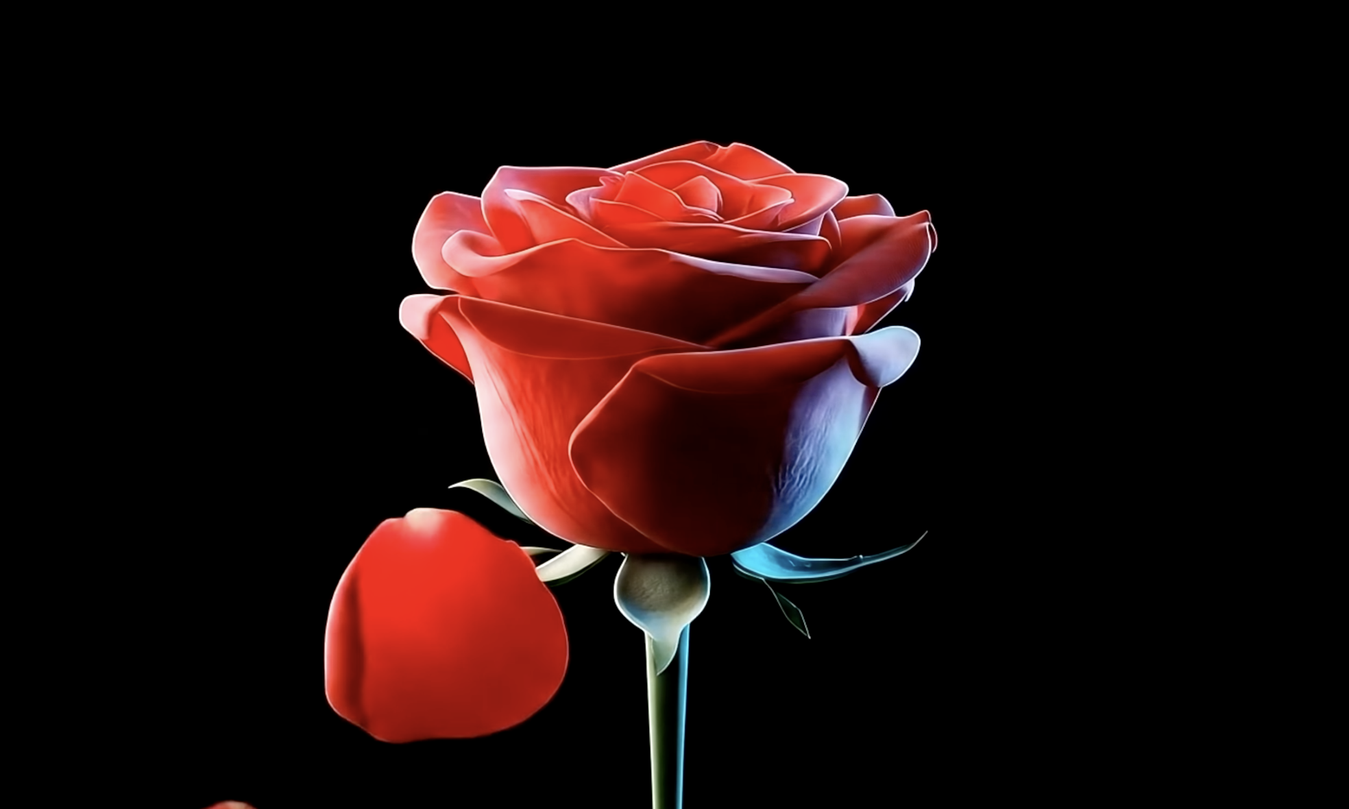 CKay - Tey Tey (Music Video)