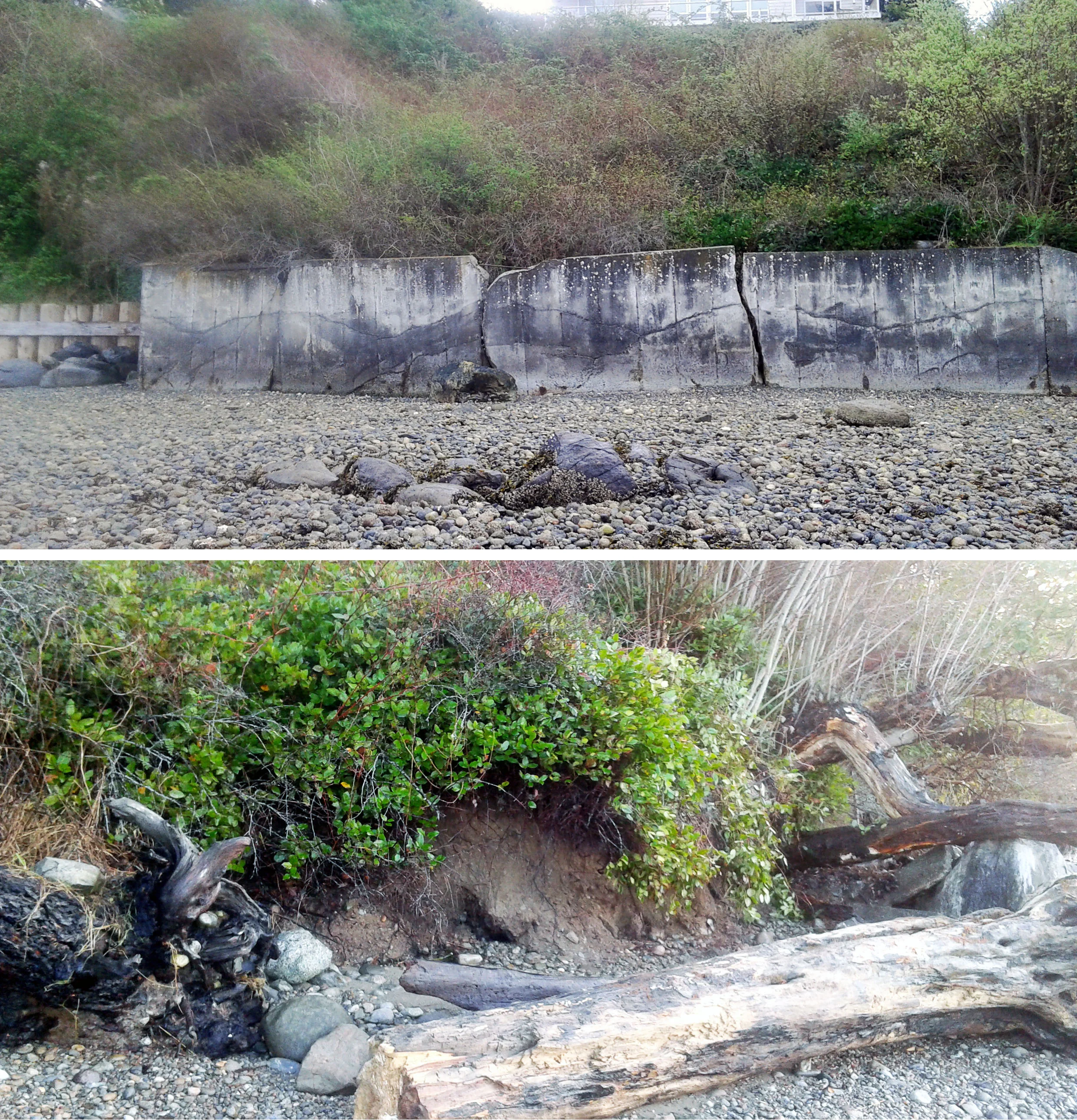 Before and after: tideland structures and restored beach area after structure removal