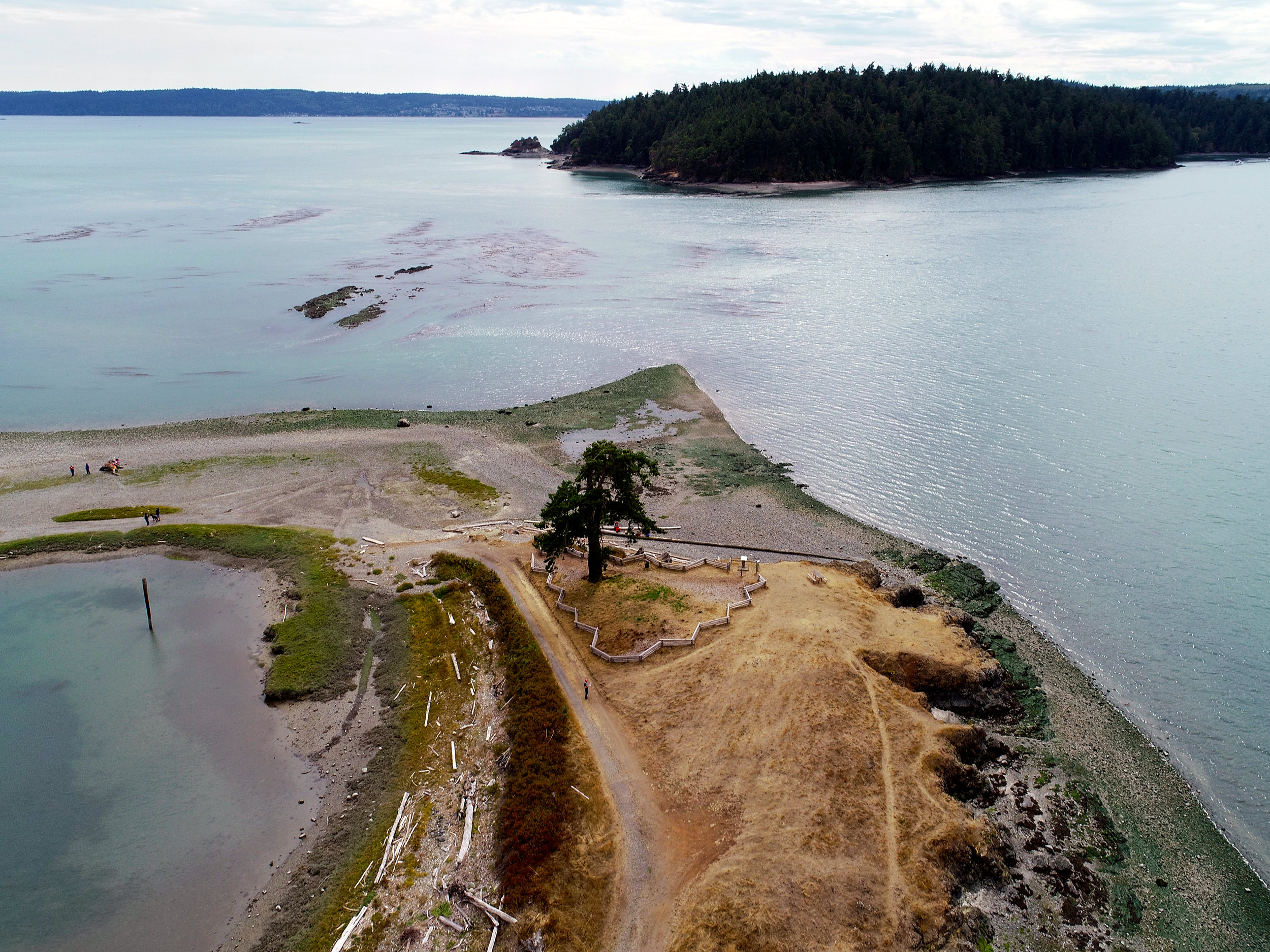  Lone Tree restoration helped secure historic beach seining use 