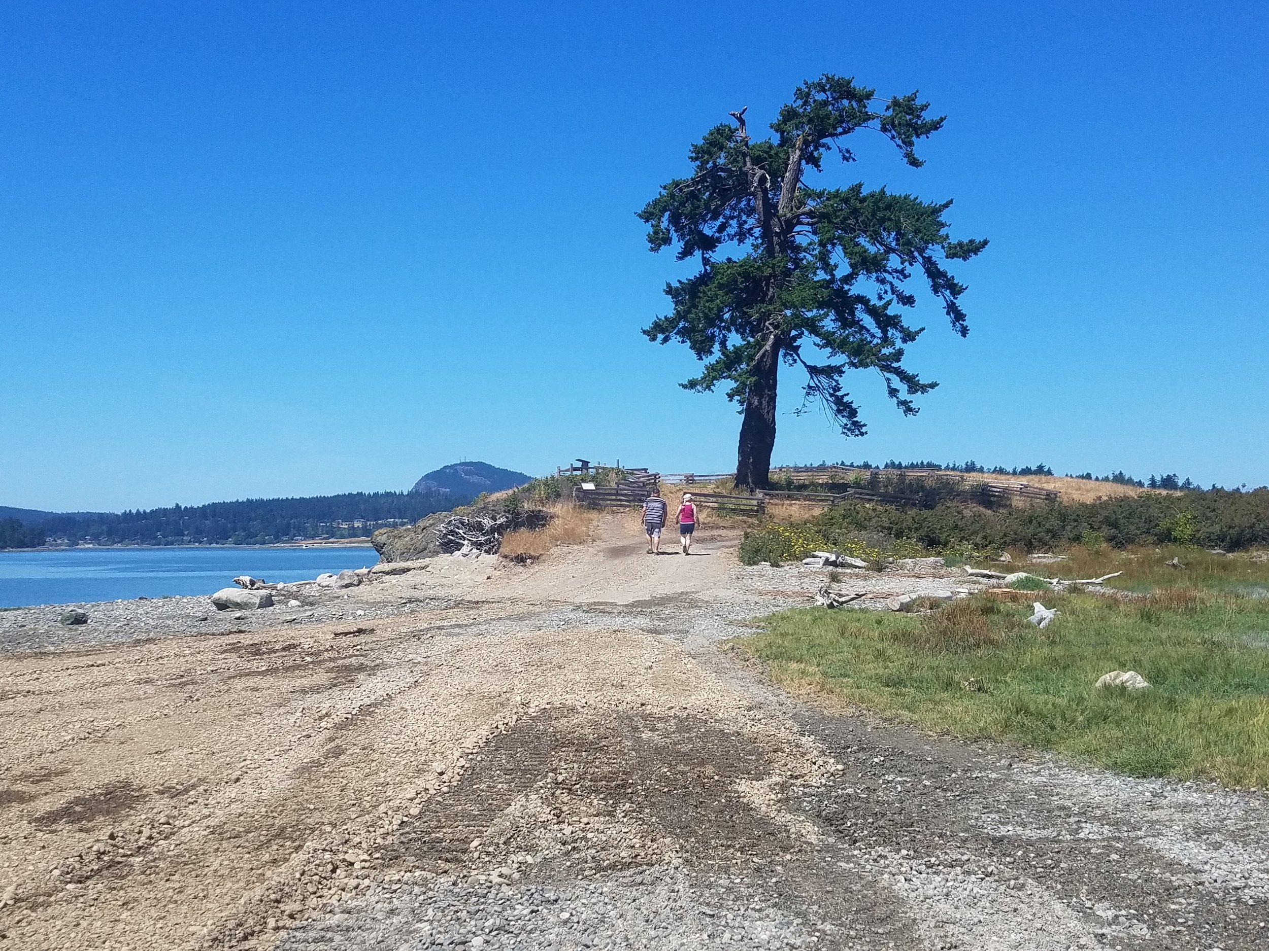 Current condition after beach nourishment and restoration