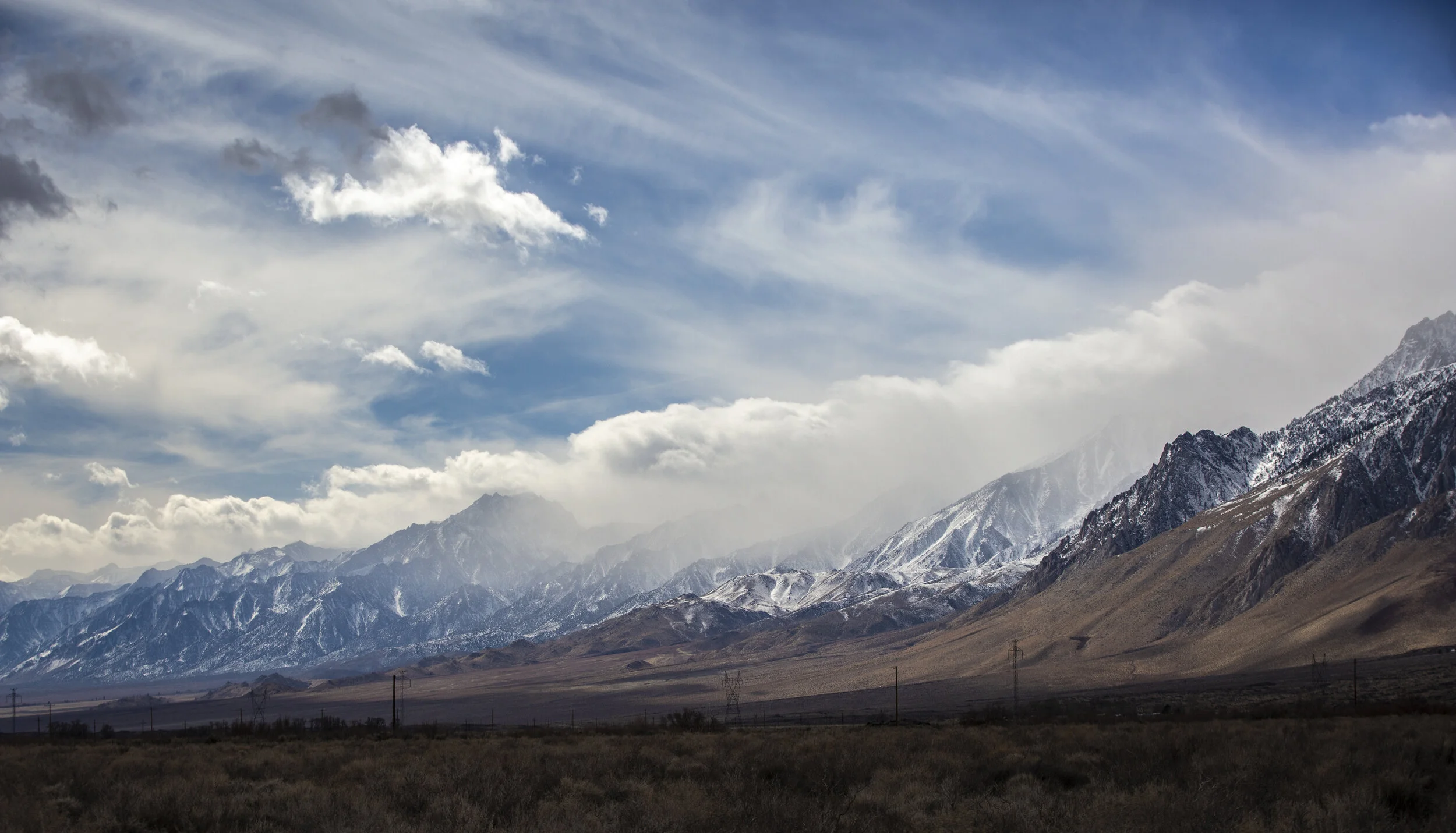 NZM_9295.jpg