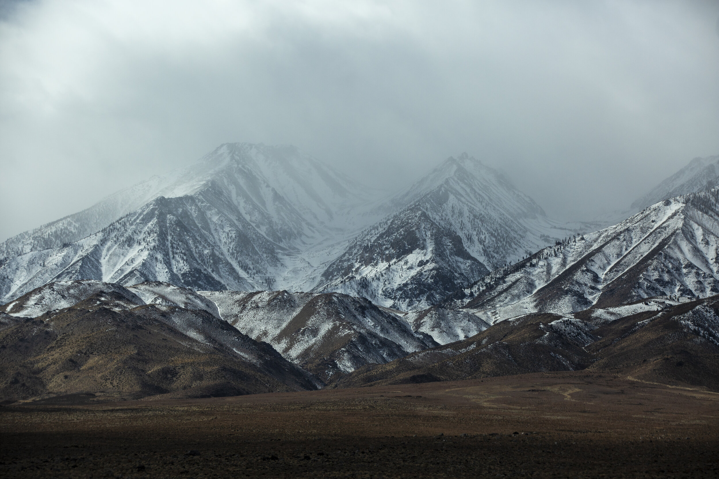 NZM_9305.jpg