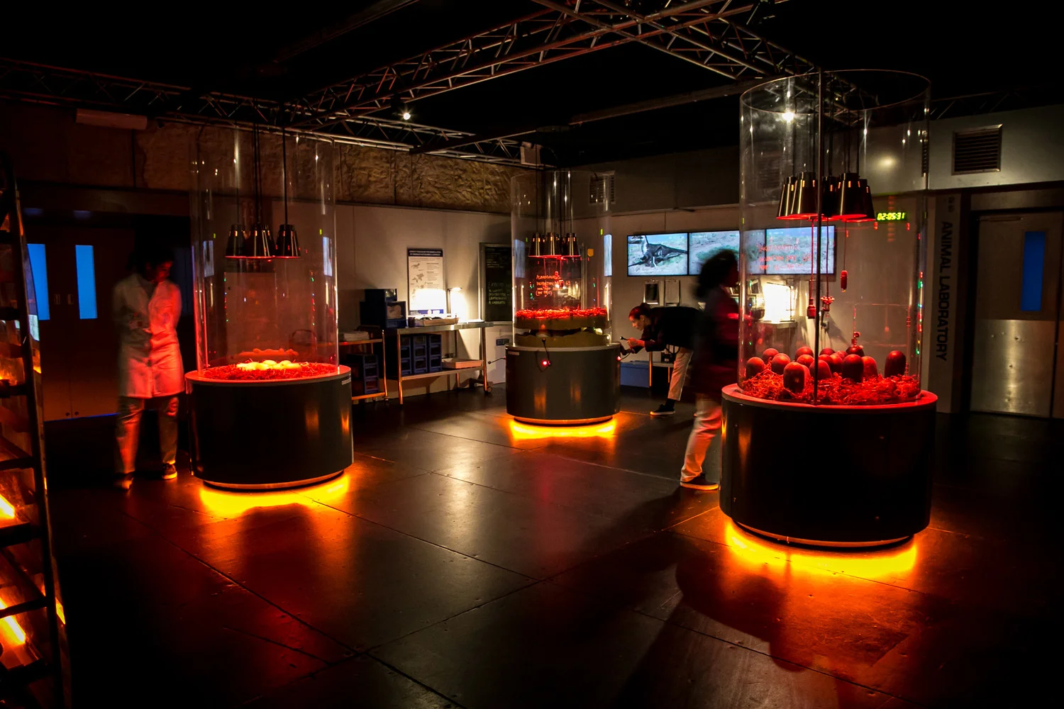 Dinosaurs in the Wild. Visitors are led to believe they are within a real, fully-functioning scientific facility. The physical experience was a paramount focus of the design process. To this effect, FRD incorporated a variety of interventions such as a ‘time machine’, virtual reality ride, interactive laboratories and a lookout with ‘windows’ featuring full-scale computer-generated dinosaurs.