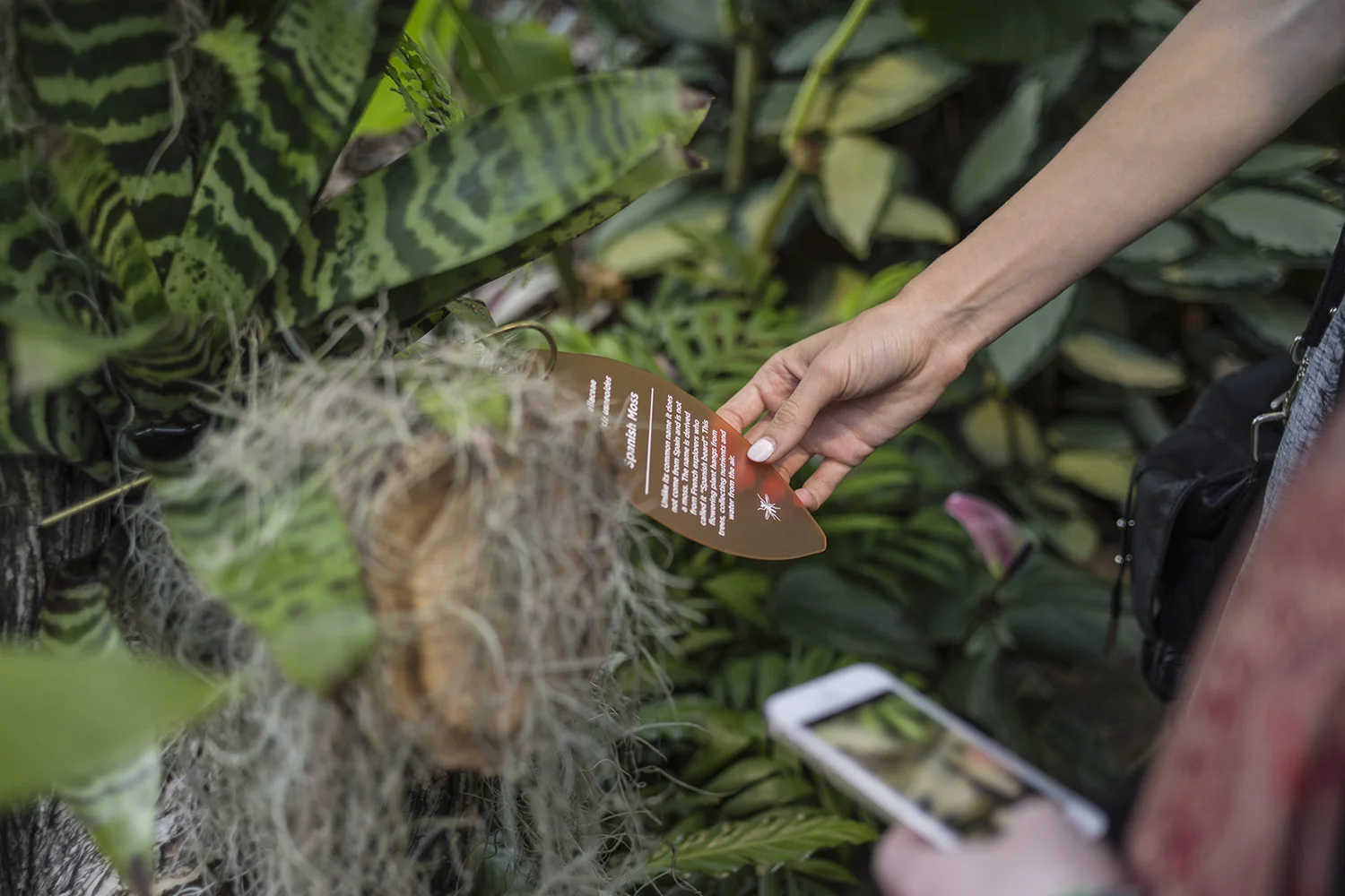 FRD designed a truly hands-on experience, with visitors encouraged to immerse themselves by feeling and smelling organic materials.