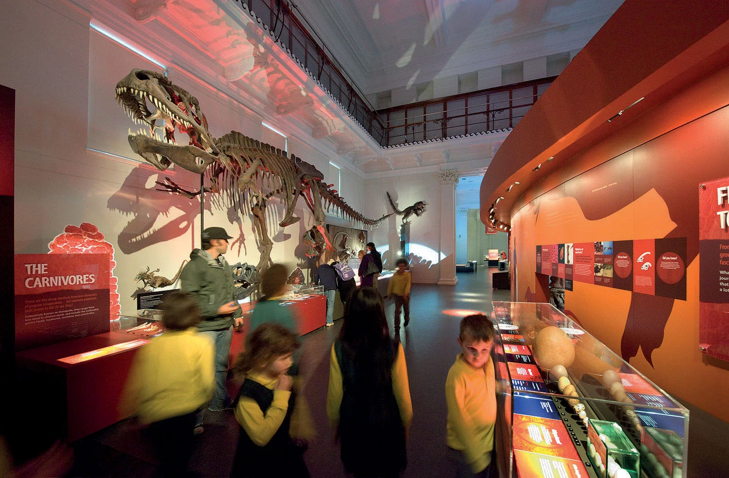 FRD-Australian Museum-Dinosaurs-2.jpg