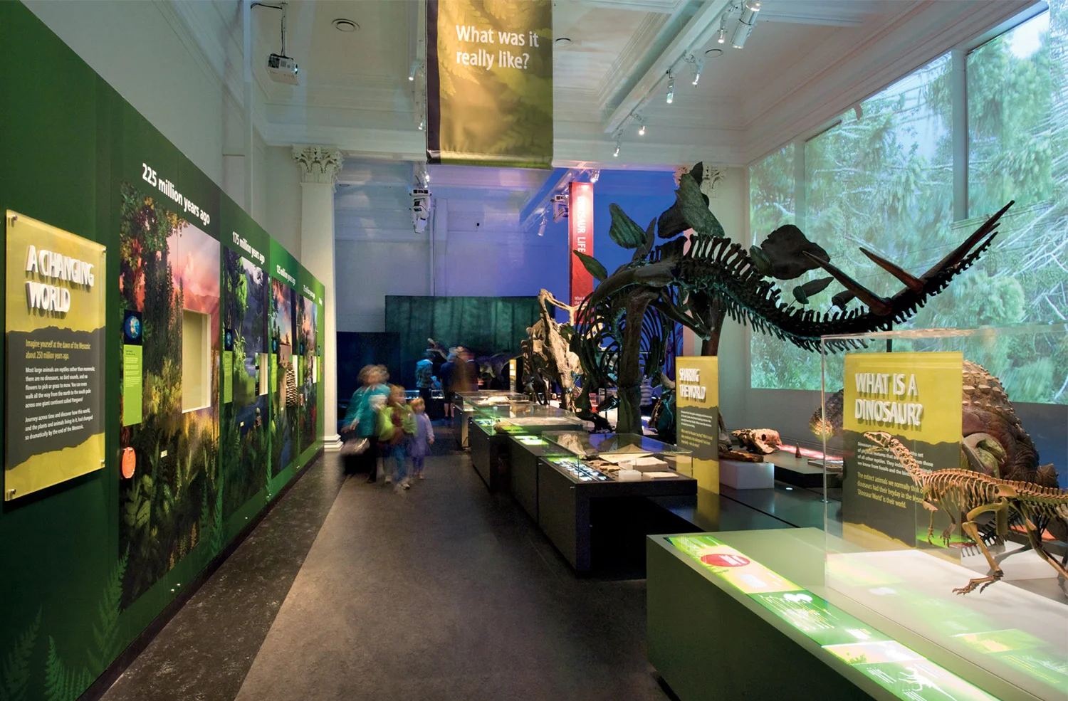 Large-scale video and computer-generated scenarios are projected upon the heritage walls, evoking the landscape upon which these creatures died and inducing an authentic context for these huge artefacts.